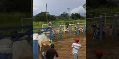 Jovem de 16 anos morre ao bater a cabeça durante treino de montaria em touros no Vale do...