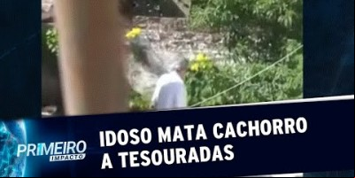 Idoso flagrado matando cão teve ato de insanidade, diz filha | Primeiro Impacto...