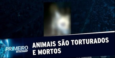 VÍDEO - Caso de tortura a animais choca moradores do Grajaú, SP | Primeiro Impacto...