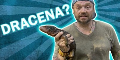LAGARTO JACARÉ? QUE BICHO É ESSE? | RICHARD RASMUSSEN