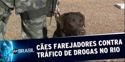 Cães farejadores contra o tráfico de drogas no Rio de Janeiro | SBT Brasil (22/07/19)