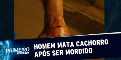 Homem invade casa e mata cachorro a pauladas após ser mordido | Primeiro Impacto...